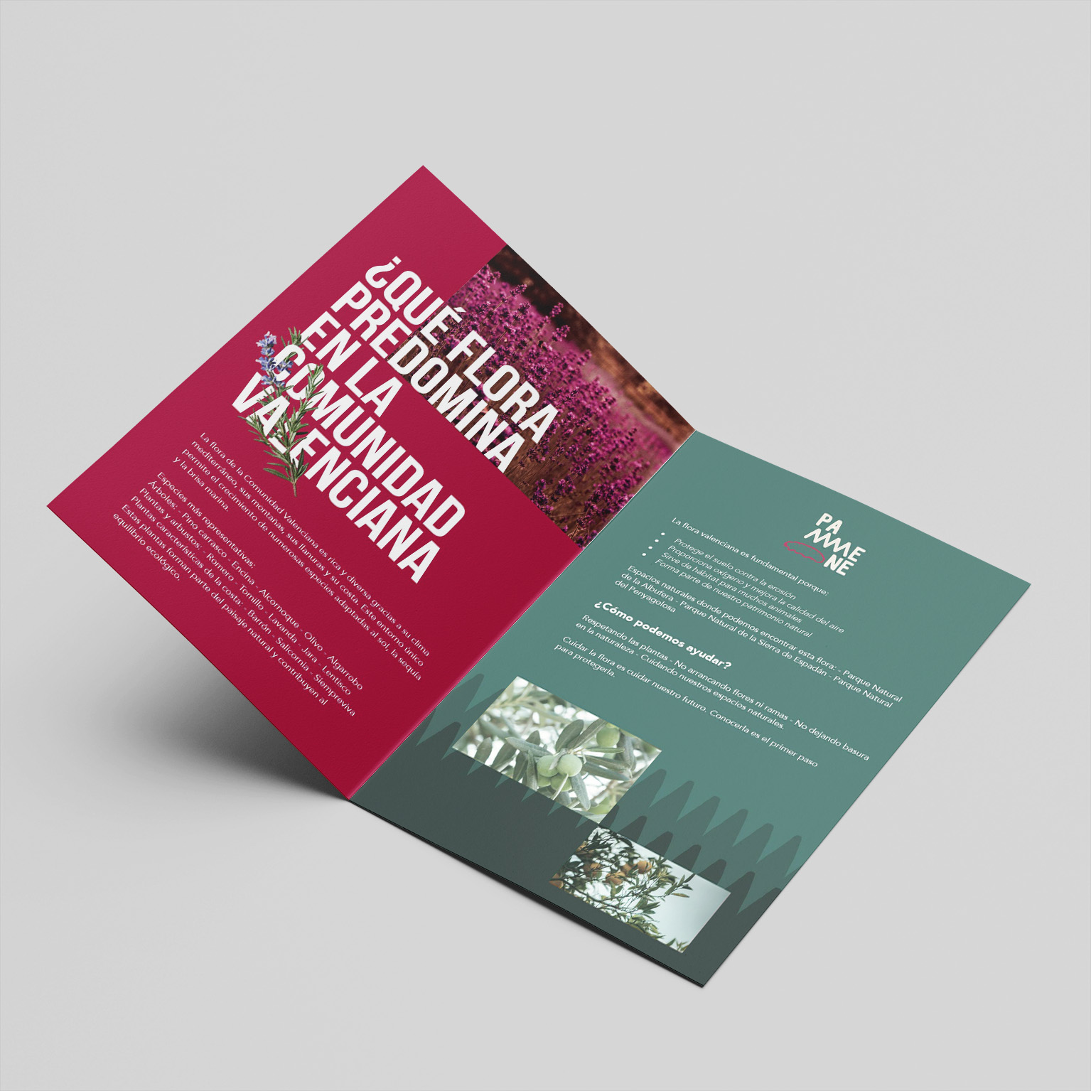 Free_US_Half_Fold_Brochure_Mockup_1